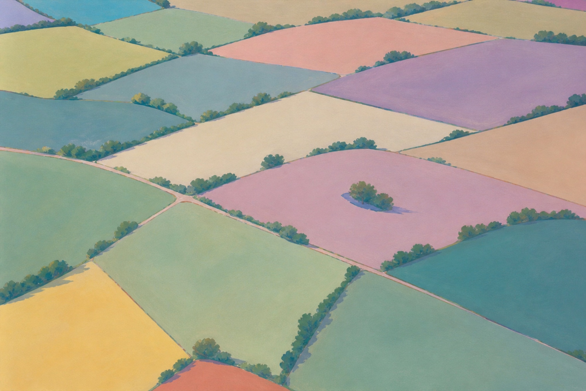 Fields