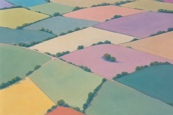 Fields