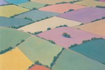 Fields