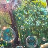 Sunlit Bubbles