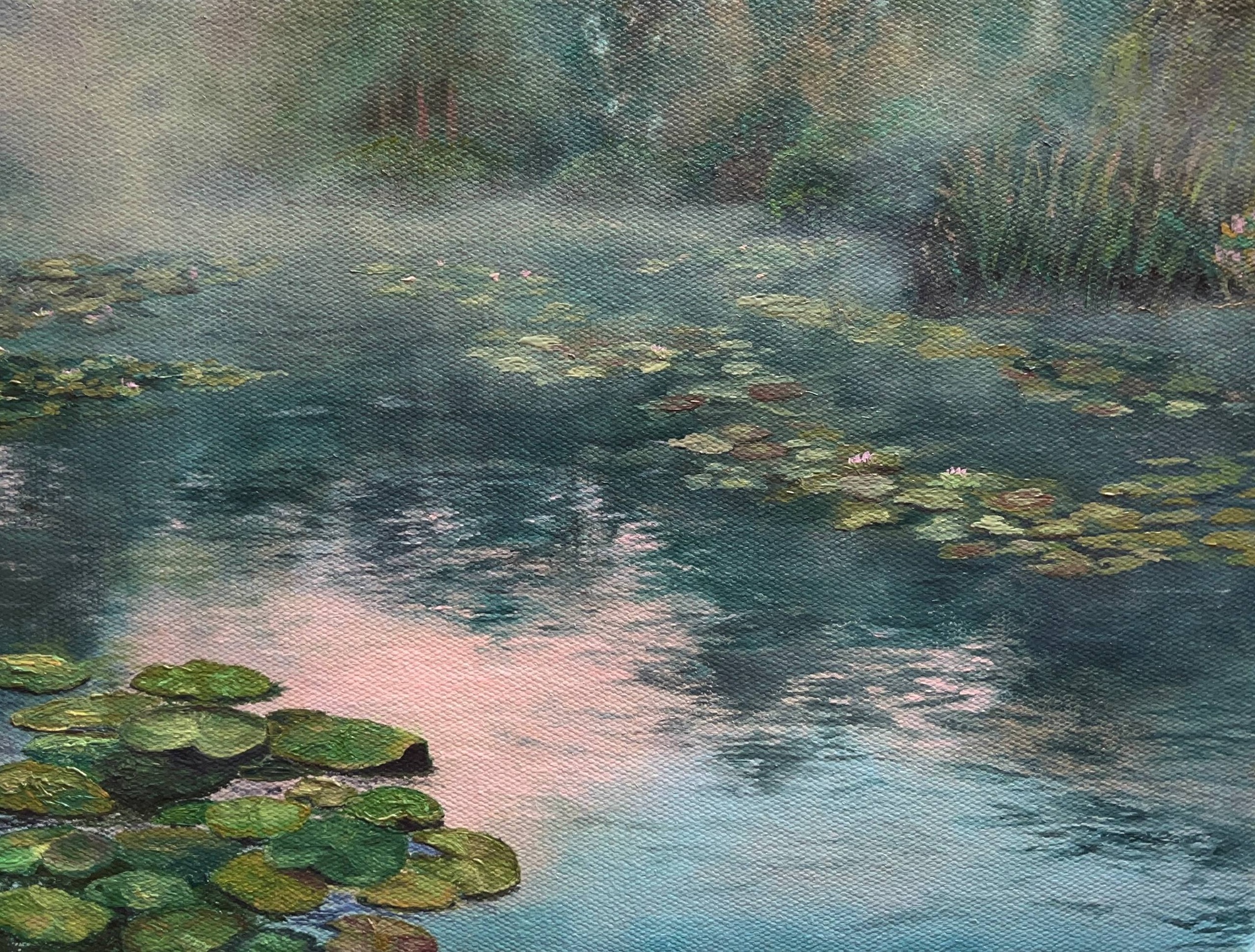 Lily Pond